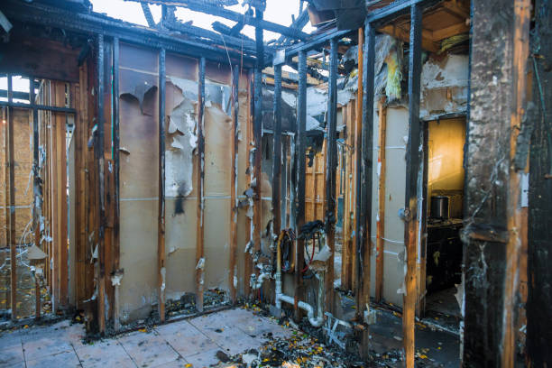Professional Fire Damage Removal technician working in Croydon, PA