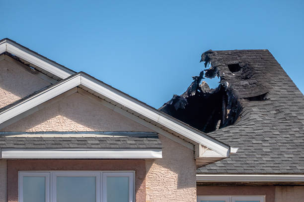 Top rated local Fire Damage Removal specialists in Croydon, PA